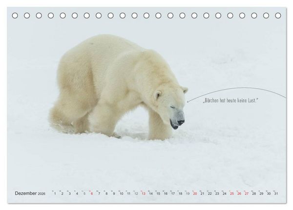 Produktbild: Emotionale Momente: Eisb&auml;ren - ganz menschlich gesehen. (Tischkalender 2026 DIN A5 quer), CALVENDO Monatskalender