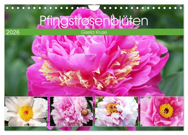 Produktbild: Pfingstrosenbl&uuml;ten (Wandkalender 2026 DIN A4 quer), CALVENDO Monatskalender