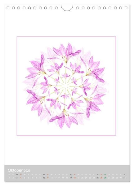 Produktbild: Pflanzen - Mandalas aus Bl&uuml;ten und Bl&auml;ttern (Wandkalender 2026 DIN A4 hoch), CALVENDO Monatskalender