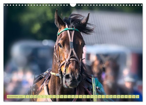 Produktbild: Rennpferde - Gesichter erz&auml;hlen (Wandkalender 2026 DIN A3 quer), CALVENDO Monatskalender