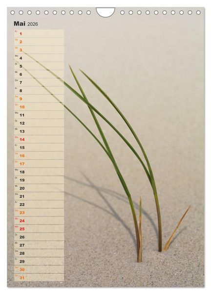 Produktbild: Zwischen D&uuml;nen und Watt / Geburtstagskalender (Wandkalender 2026 DIN A4 hoch), CALVENDO Monatskalender