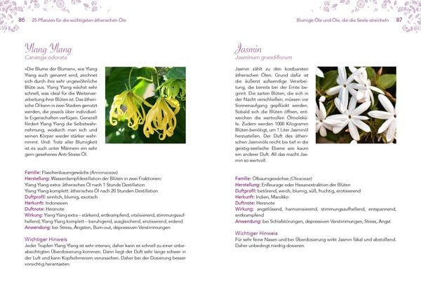 Produktbild: Leichter abnehmen mit Aromatherapie