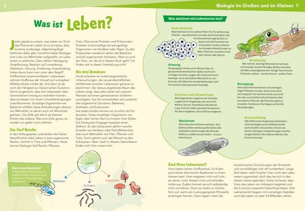 Produktbild: WAS IST WAS Naturwissenschaften easy! Biologie. Die Viren und wir