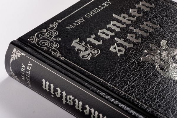 Produktbild: Mary Shelley, Frankenstein. Ein Schauerroman
