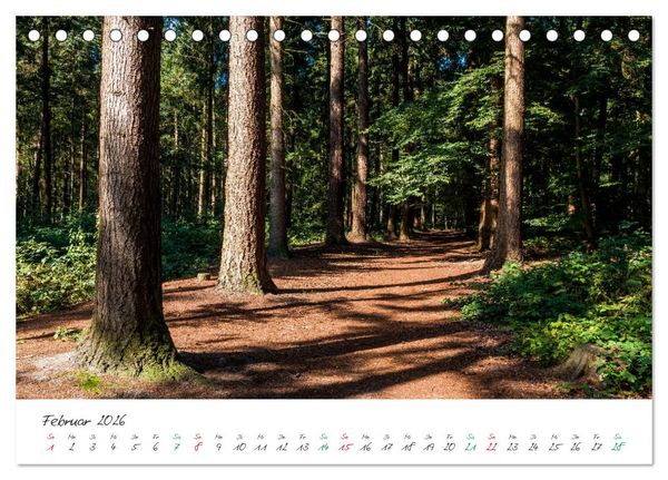 Produktbild: Delmenhorst Sp&auml;tsommerbilder (Tischkalender 2026 DIN A5 quer), CALVENDO Monatskalender