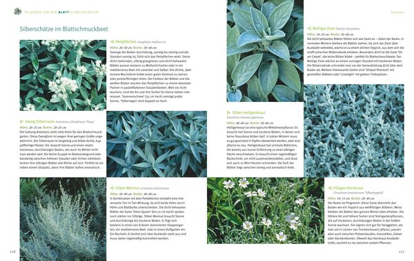 Produktbild: Ganzj&auml;hrig attraktive Beete mit Blatt und Bl&uuml;te