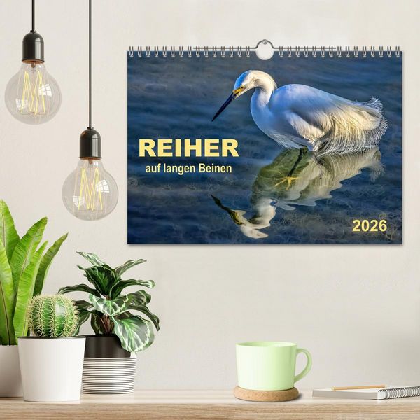 Produktbild: Reiher - auf langen Beinen (Wandkalender 2026 DIN A4 quer), CALVENDO Monatskalender