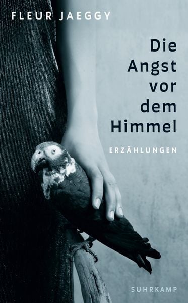 Produktbild: Die Angst vor dem Himmel