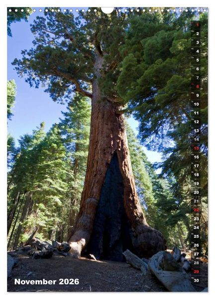 Produktbild: YOSEMITE VALLEY Natur Pur (Wandkalender 2026 DIN A3 hoch), CALVENDO Monatskalender