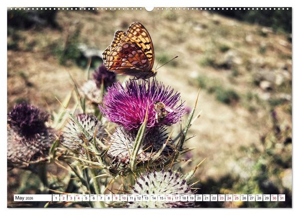 Produktbild: Hiking the GR 10 A long distance trail through the French Pyrenees (High Quality Premium Wall Calendar 2026 DIN A2 landscape),CALVENDO 12 Month Wall C