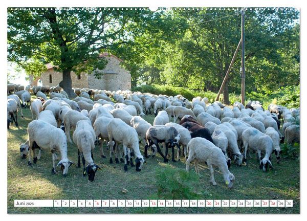 Produktbild: Chalkidiki - Urlaubsparadies in Nordgriechenland (hochwertiger Premium Wandkalender 2026 DIN A2 quer), Kunstdruck in Hochglanz