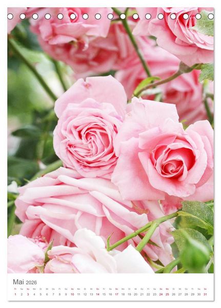 Produktbild: Gl&uuml;cklich mit Rosen (Tischkalender 2026 DIN A5 hoch), CALVENDO Monatskalender