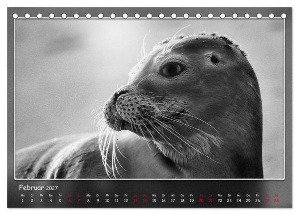 Produktbild: Tieren ins Gesicht geschaut (Tischkalender 2027 DIN A5 quer), CALVENDO Monatskalender