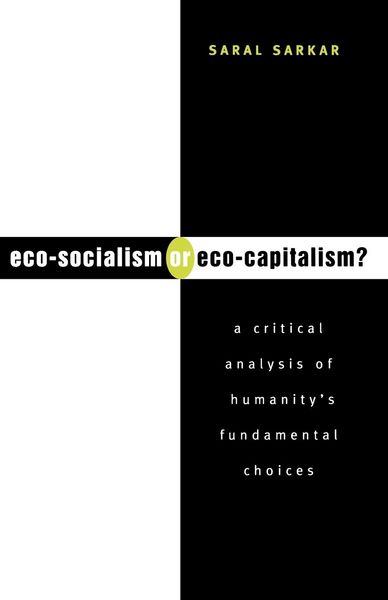 Produktbild: Eco-Socialism or Eco-Capitalism?