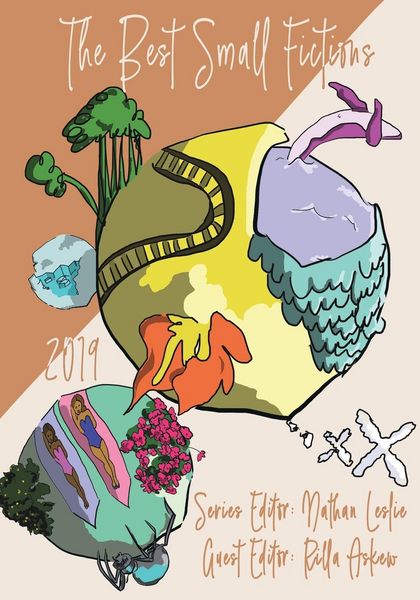Produktbild: The Best Small Fictions