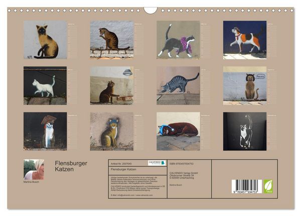 Produktbild: Flensburger Katzen (Wandkalender 2026 DIN A3 quer), CALVENDO Monatskalender