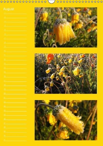 Produktbild: Zauberwelt der Blumen - Eiskristalle & Wasserperlen / Geburtstagskalender (Wandkalender immerw&auml;hrend DIN A3 hoch)