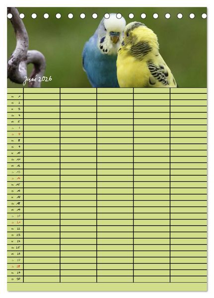 Produktbild: Der Wellensittich-Familienplaner (Tischkalender 2026 DIN A5 hoch), CALVENDO Monatskalender