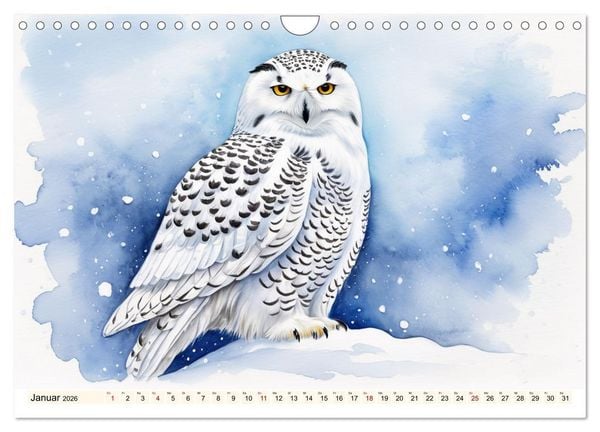 Produktbild: Zauber der Jahreszeiten (Wandkalender 2026 DIN A4 quer), CALVENDO Monatskalender