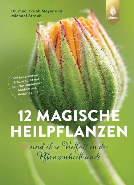 Produktbild: 12 magische Heilpflanzen