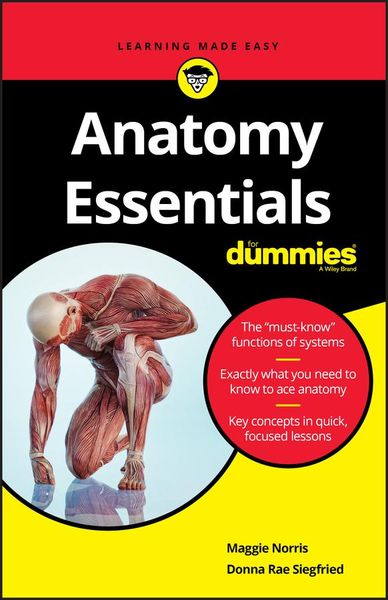 Produktbild: Anatomy Essentials for Dummies