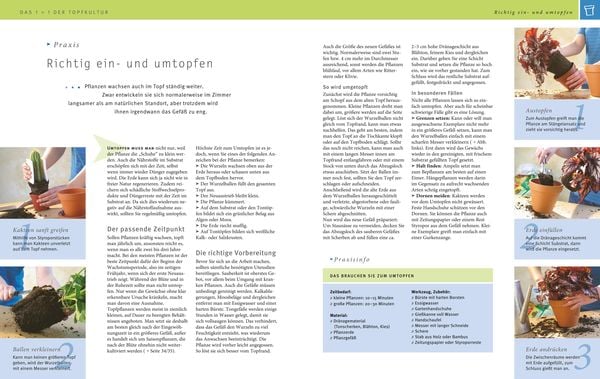 Produktbild: Zimmerpflanzen