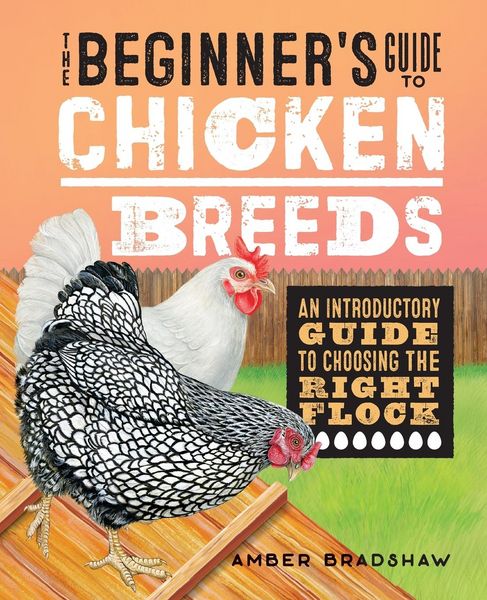 Produktbild: The Beginner's Guide to Chicken Breeds