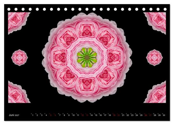 Produktbild: ROSEN MANDALAS (Tischkalender 2027 DIN A5 quer), CALVENDO Monatskalender