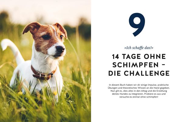 Produktbild: Hunde erziehen ohne Schimpfen