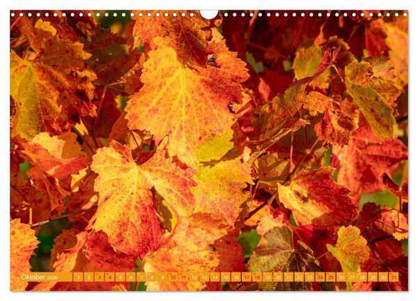Produktbild: Indian Summer in Baden-W&uuml;rttemberg (Wandkalender 2026 DIN A3 quer), CALVENDO Monatskalender
