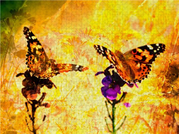 Produktbild: CALVENDO Puzzle Schmetterlings-ART 1000 Teile Lege-Gr&ouml;&szlig;e 64 x 48 cm Foto-Puzzle Bild von N N