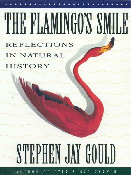 Produktbild: The Flamingo's Smile