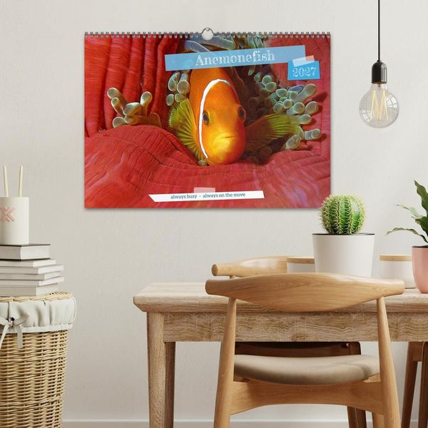 Produktbild: Anemonefish - always busy - always on the move (Wall Calendar 2027 DIN A3 landscape), CALVENDO 12 Month Wall Calendar