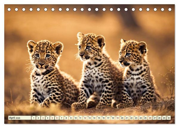 Produktbild: Gefleckte J&auml;ger (Tischkalender 2026 DIN A5 quer), CALVENDO Monatskalender