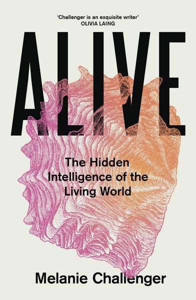 Produktbild: Alive