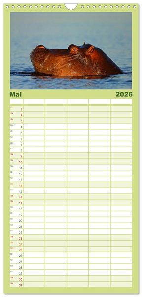 Produktbild: Familienplaner 2026 - Flusspferde Magie des Augenblicks - Hippos in Afrika mit 5 Spalten (Wandkalender, 21 x 45 cm) CALVENDO
