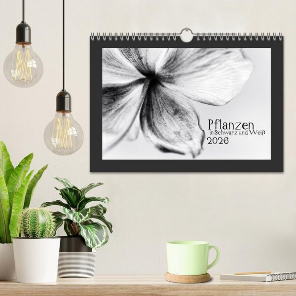 Produktbild: Pflanzen in Schwarz und Wei&szlig; (Wandkalender 2026 DIN A4 quer), CALVENDO Monatskalender