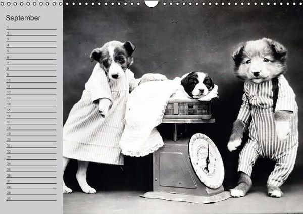 Produktbild: Katzen und Hunde - Nostalgie auf Pfoten (Wandkalender immerw&auml;hrend DIN A3 quer)