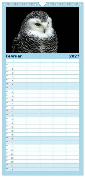 Produktbild: Familienplaner 2027 - Greifv&ouml;gel, Eulen und K&auml;uze mit 5 Spalten (Wandkalender, 21 x 45 cm) CALVENDO