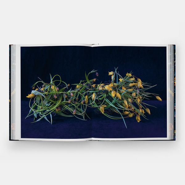 Produktbild: Emily Thompson Flowers