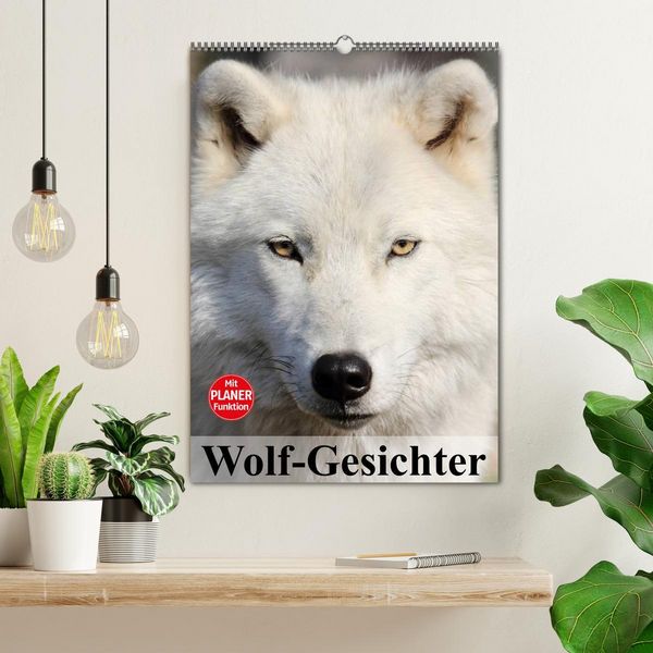 Produktbild: Wolf-Gesichter (Wandkalender 2026 DIN A2 hoch), CALVENDO Monatskalender