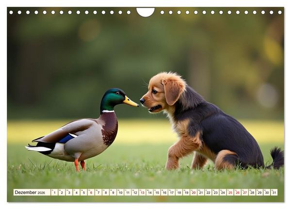 Produktbild: Ungew&ouml;hnliche Tierfreundschaften (Wandkalender 2026 DIN A4 quer), CALVENDO Monatskalender