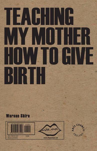 Produktbild: Teaching My Mother How to Give Birth