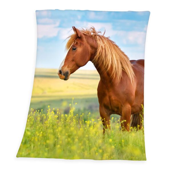 Young Collection 7524206035 - Pferd Fleece-Decke, 130x160 cm, 100% Polyester