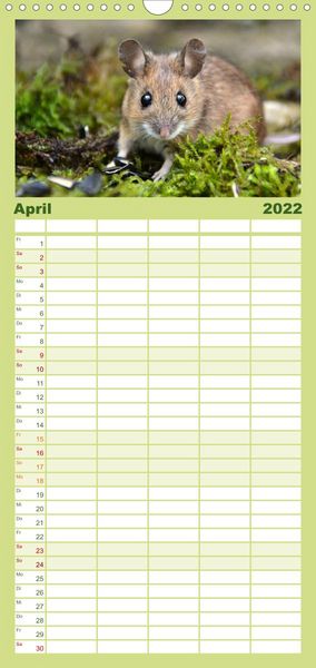 Produktbild: Familienplaner ... hier kommt die Maus ... (Wandkalender 2022 , 21 cm x 45 cm, hoch)
