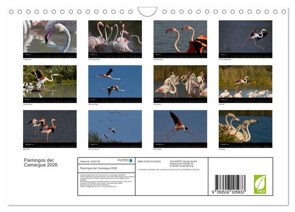 Produktbild: Flamingos der Camargue 2026 (Wandkalender 2026 DIN A4 quer), CALVENDO Monatskalender