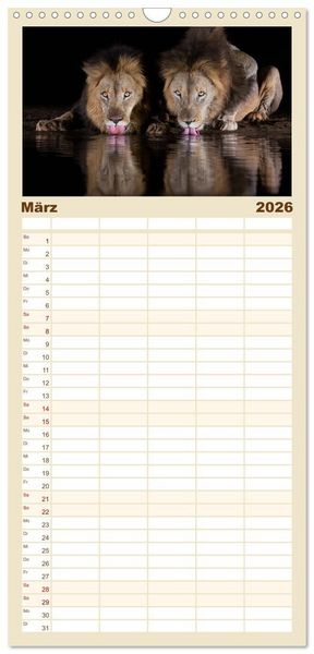 Produktbild: Familienplaner 2026 - S&uuml;dafrika wunderbare Tierwelt mit 5 Spalten (Wandkalender, 21 x 45 cm) CALVENDO