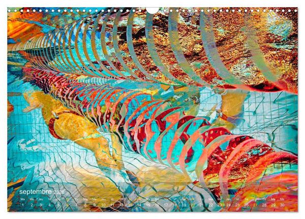 Produktbild: AQUAPASSION (Calendrier mural 2026 DIN A3 vertical), CALVENDO calendrier mensuel