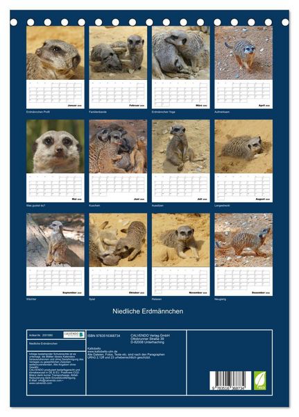Produktbild: Niedliche Erdm&auml;nnchen (Tischkalender 2026 DIN A5 hoch), CALVENDO Monatskalender