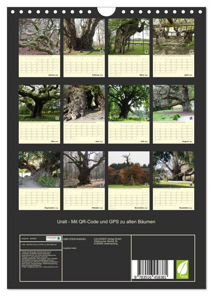 Produktbild: Uralt - Mit QR-Code und GPS zu alten B&auml;umen (Wandkalender 2026 DIN A4 hoch), CALVENDO Monatskalender